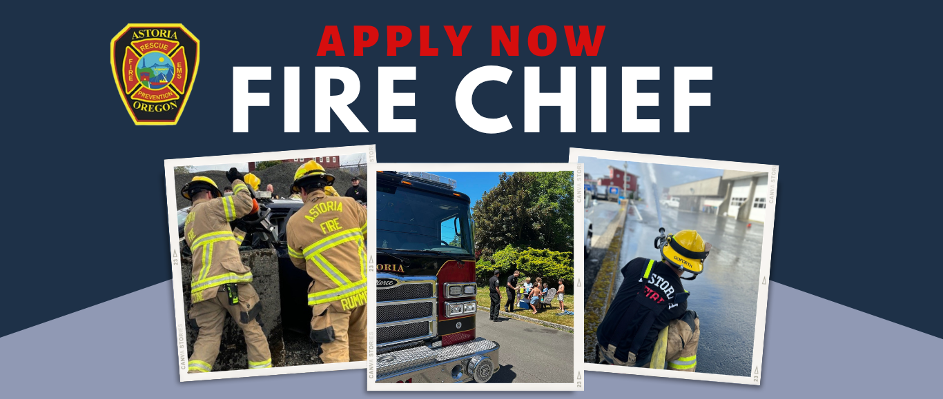 Fire Chief (Website)